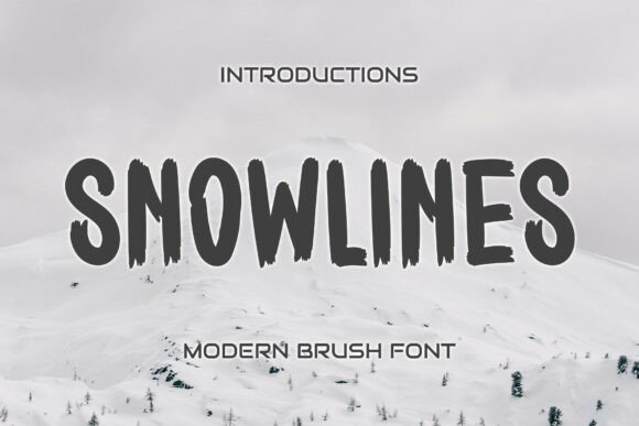 Snowlines: The Raw Display Typeface for Bold Editorial Design